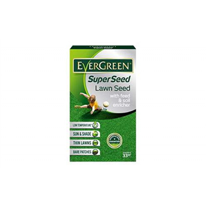 Evergreen Super Seed Lawn Seed 1kg